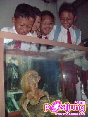 สัตว์ประหลาด หัวเป็นคนตัวเป้นงู