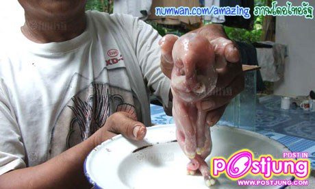 มุกดาหารแปลก