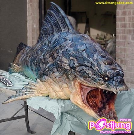 fishscaryad0
