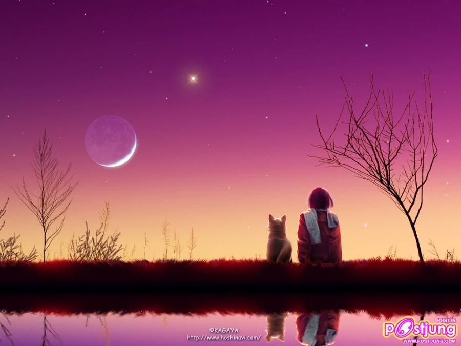 ภาพพื้นหลังสวยๆ