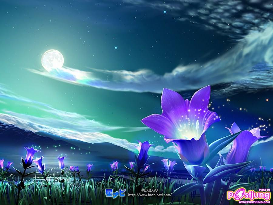 ภาพพื้นหลังสวยๆ