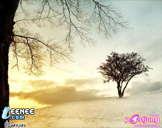 ภาพพื้นหลังสวยๆ
