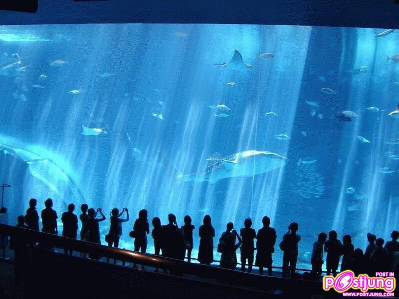 ภาพพื้นหลังสวยๆ