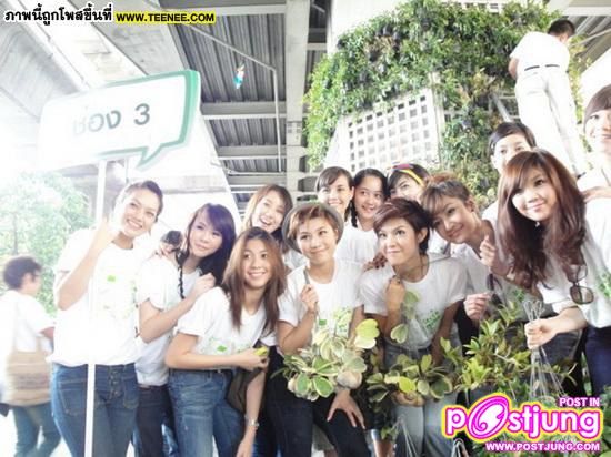 สตอร์เบอรี่ชีสเค้ก