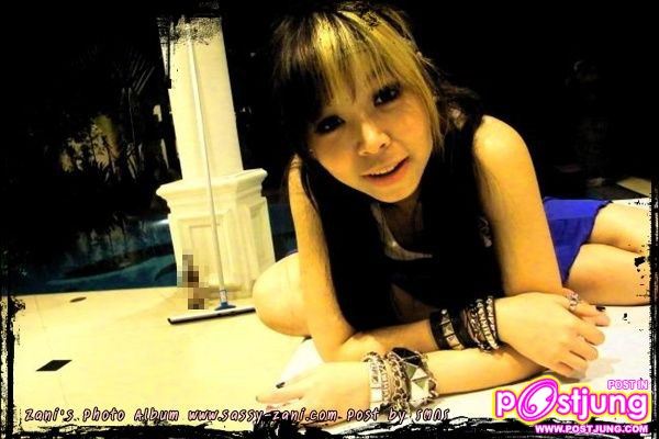ซานิ