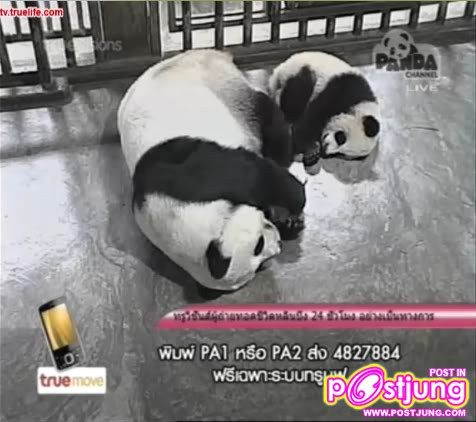 หลินปิง เล่นอะรัยหว่า อิอิ555+++